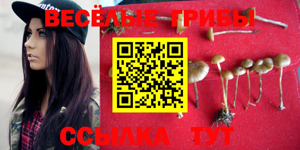 Галлюциногенные грибы Cubensis  Вход с VPN  Шебекино  Галлюциногенные грибы Cubensis 
